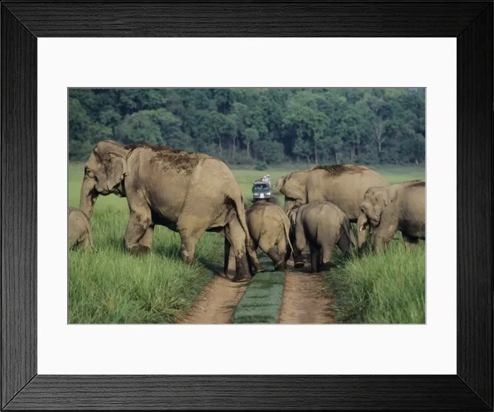 Framed Print : Picture No. 10788436 Framed Print : Picture No. 10788436
