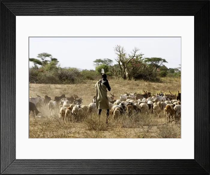 Framed Print : Picture No. 10779068 Framed Print : Picture No. 10779068