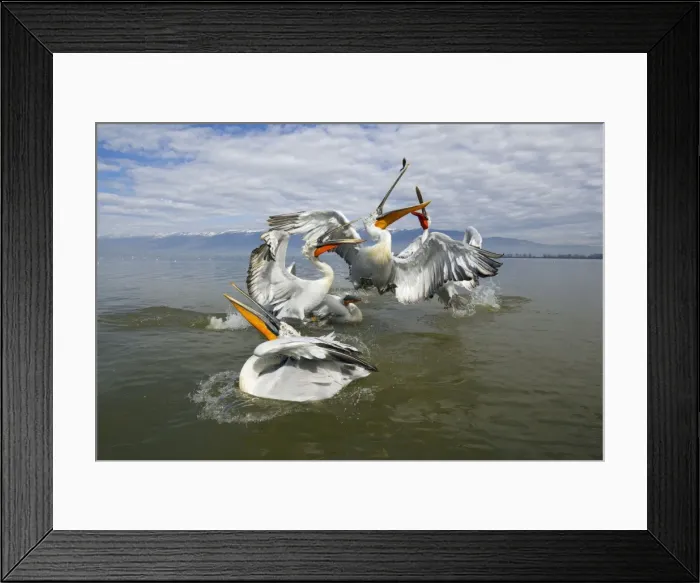 Framed Print : Picture No. 10804227 Framed Print : Picture No. 10804227