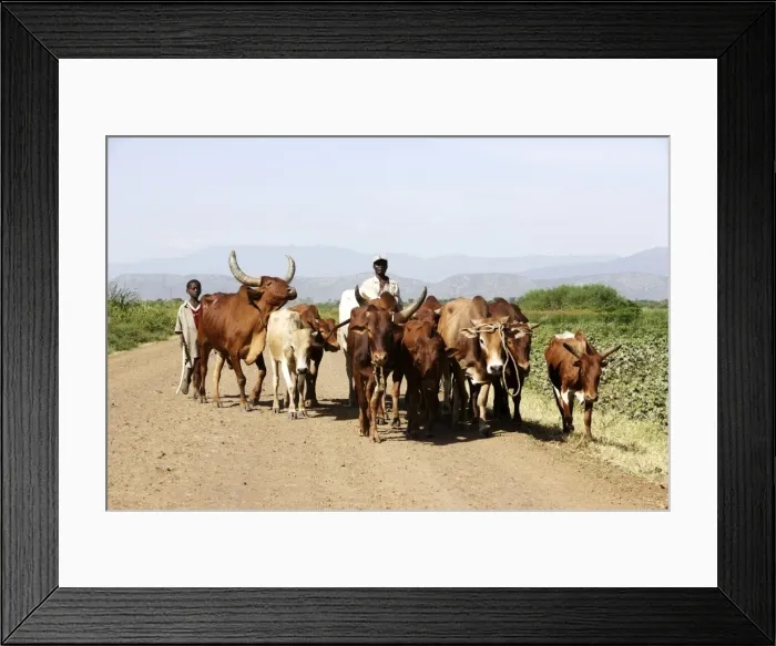 Framed Print : Picture No. 10778999 Framed Print : Picture No. 10778999