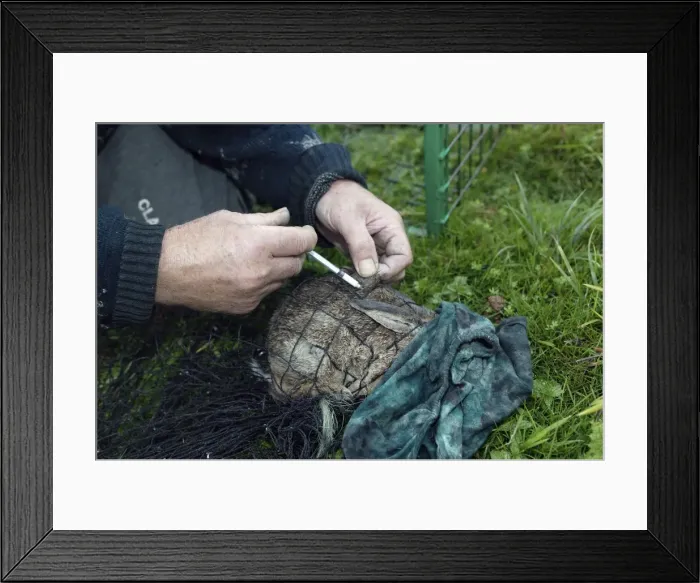 Framed Print : Picture No. 10787249 Framed Print : Picture No. 10787249