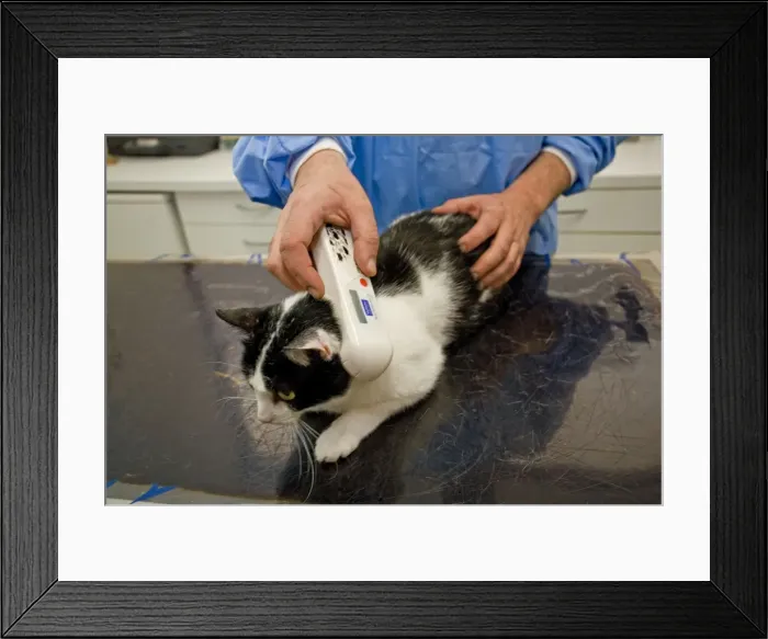 Framed Print : Picture No. 10776568 Framed Print : Picture No. 10776568