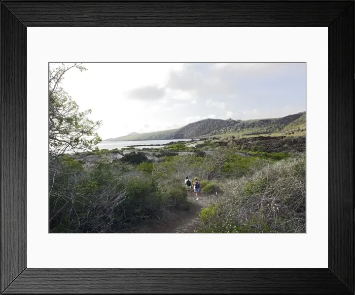 Framed Print : Picture No. 10777801