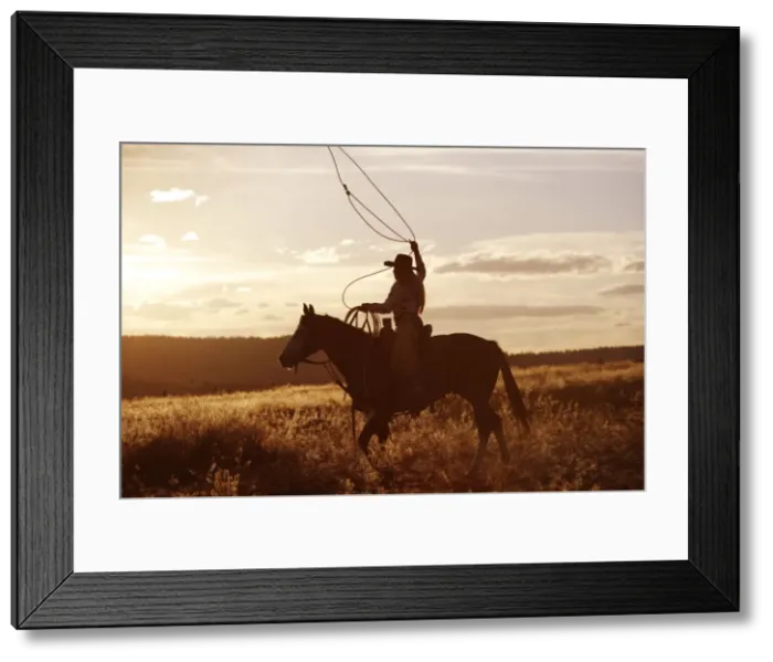 Framed Print : Picture No. 10778384 Framed Print : Picture No. 10778384