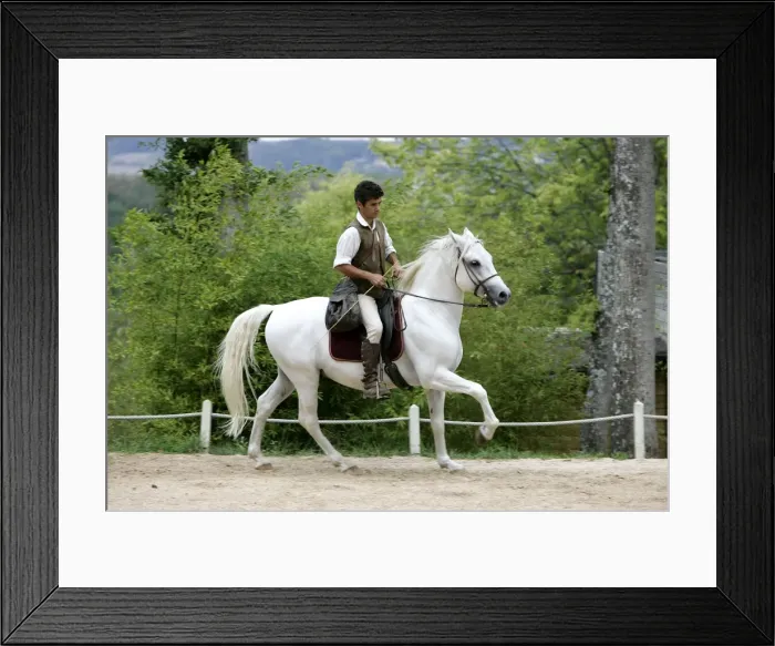 Framed Print : Picture No. 10787303 Framed Print : Picture No. 10787303