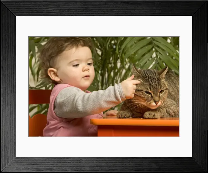 Framed Print : Picture No. 10777048 Framed Print : Picture No. 10777048
