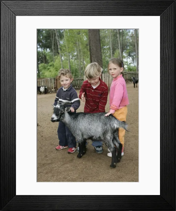 Framed Print : Picture No. 10787287 Framed Print : Picture No. 10787287