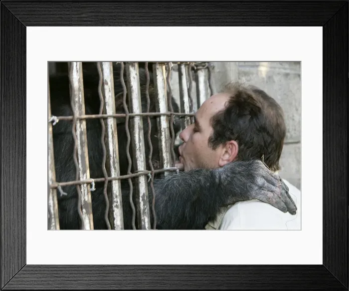 Framed Print : Picture No. 10787334 Framed Print : Picture No. 10787334