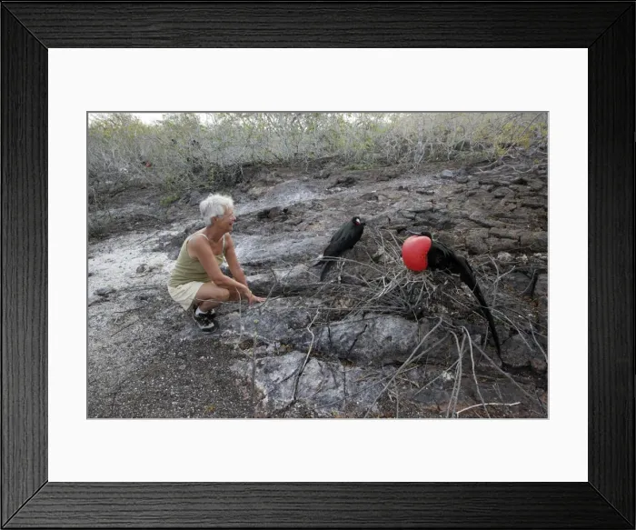Framed Print : Picture No. 10777814