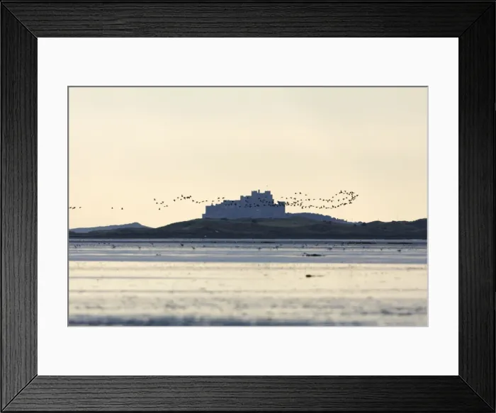 Framed Print : Picture No. 10791287