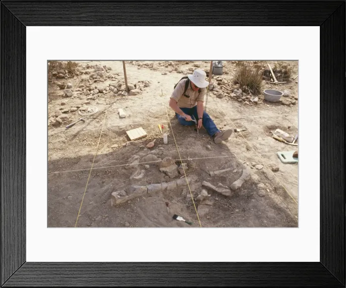Framed Print : Picture No. 10850666 Framed Print : Picture No. 10850666