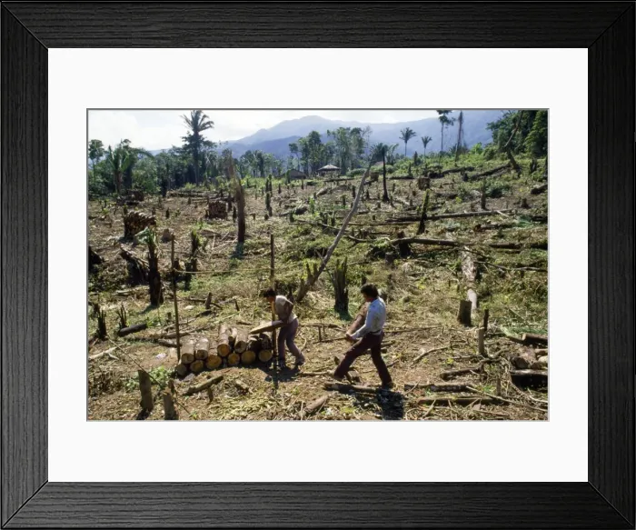 Framed Print : Picture No. 10850541 Framed Print : Picture No. 10850541