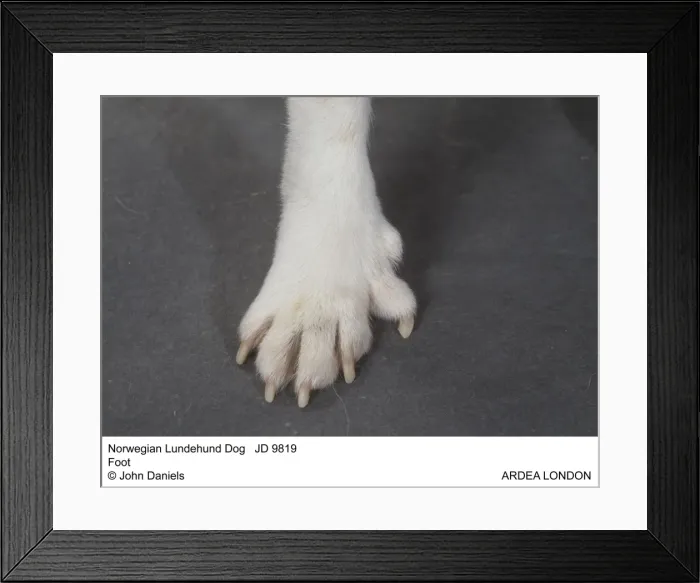 Framed Print : Picture No. 10851731 Framed Print : Picture No. 10851731