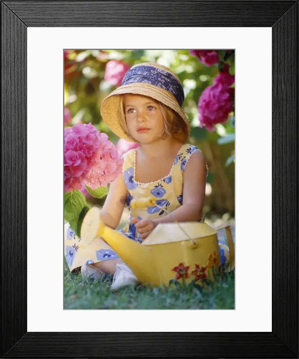 Framed Print : Picture No. 10851141 Framed Print : Picture No. 10851141
