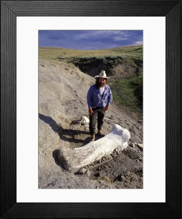 Framed Print : Picture No. 10850673 Framed Print : Picture No. 10850673