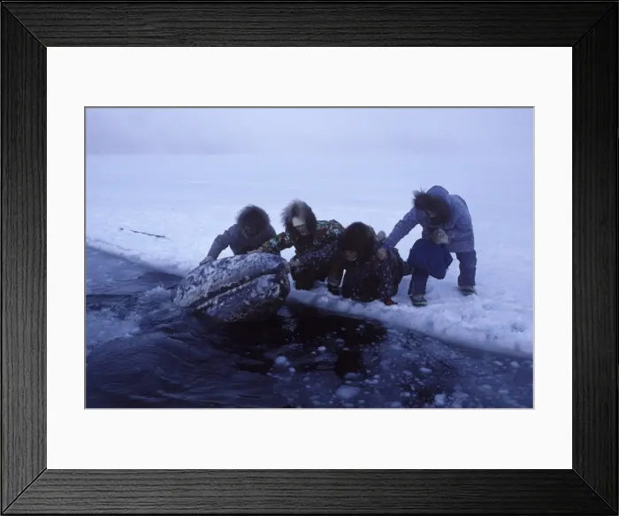 Framed Print : Picture No. 10850567