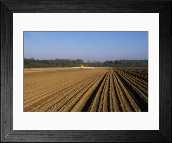 Framed Print : Picture No. 10849237 Framed Print : Picture No. 10849237