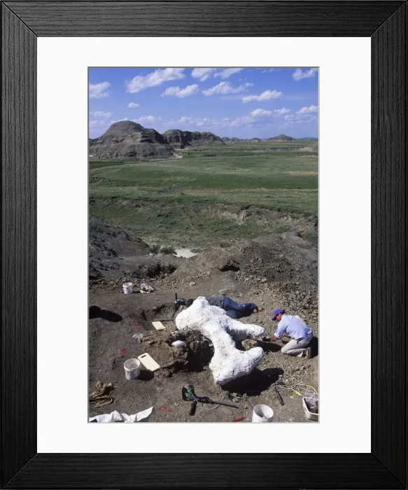 Framed Print : Picture No. 10850876 Framed Print : Picture No. 10850876