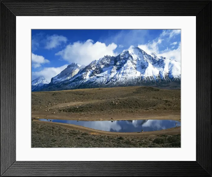 Framed Print : Picture No. 10848478 Framed Print : Picture No. 10848478