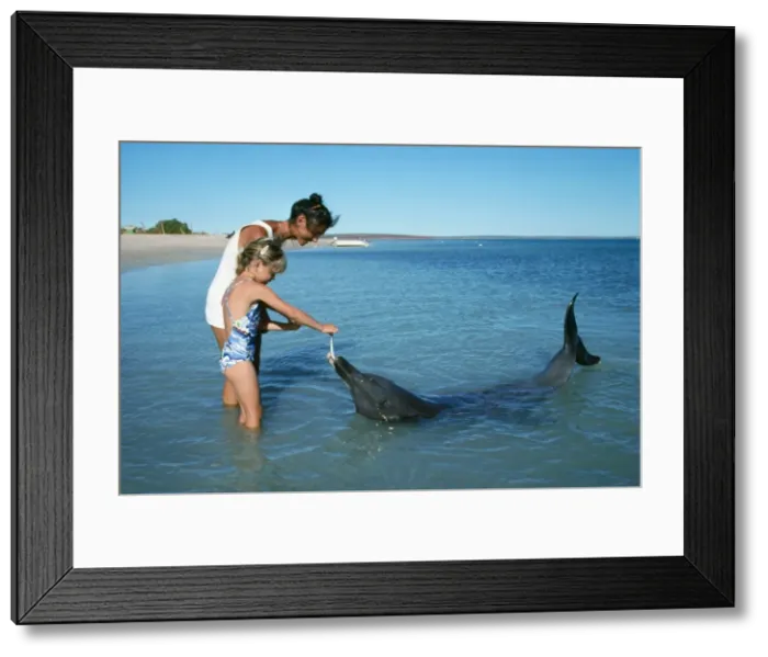 Framed Print : Picture No. 10850575 Framed Print : Picture No. 10850575