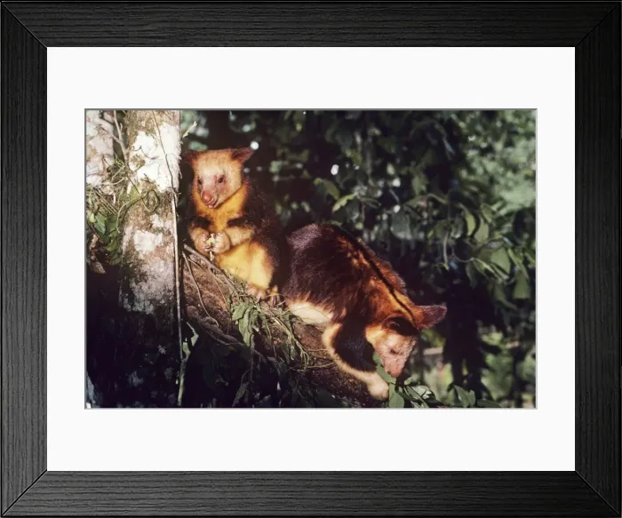 Framed Print : Picture No. 10848438 Framed Print : Picture No. 10848438