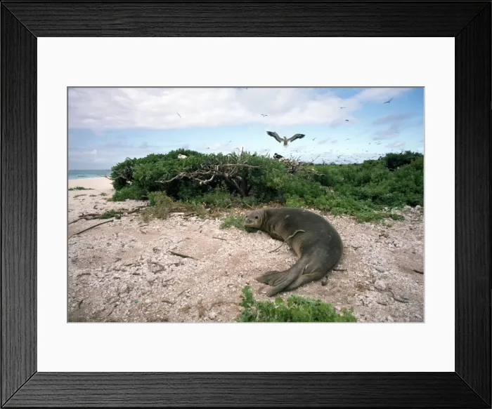Framed Print : Picture No. 10850492 Framed Print : Picture No. 10850492