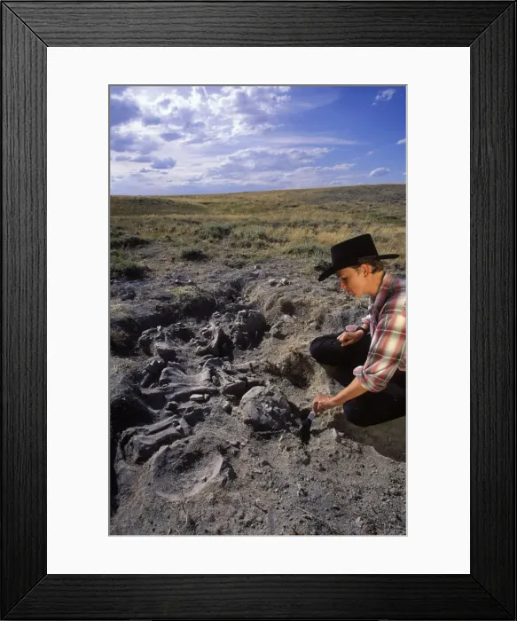 Framed Print : Picture No. 10850683 Framed Print : Picture No. 10850683