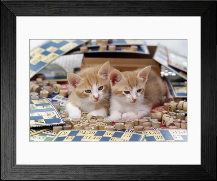 Framed Print : Picture No. 10851164 Framed Print : Picture No. 10851164