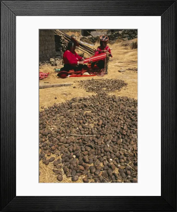 Framed Print : Picture No. 10850963 Framed Print : Picture No. 10850963