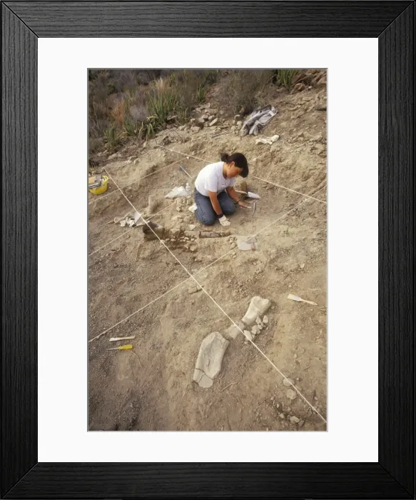 Framed Print : Picture No. 10850667 Framed Print : Picture No. 10850667