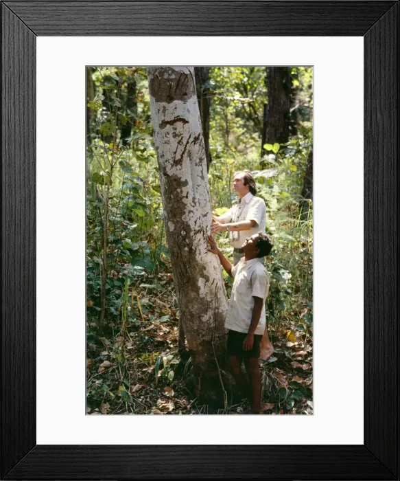 Framed Print : Picture No. 10849018 Framed Print : Picture No. 10849018