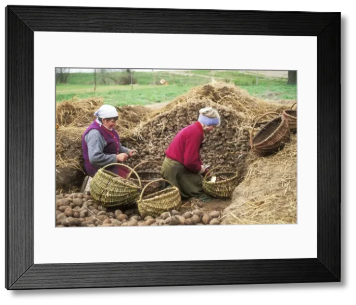 Framed Print : Picture No. 10849180