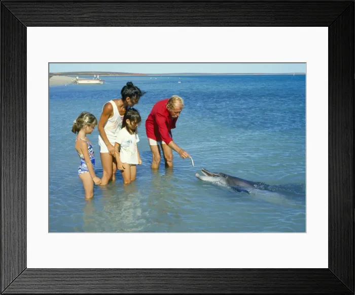 Framed Print : Picture No. 10850576 Framed Print : Picture No. 10850576