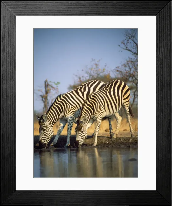 Framed Print : Picture No. 10848813 Framed Print : Picture No. 10848813
