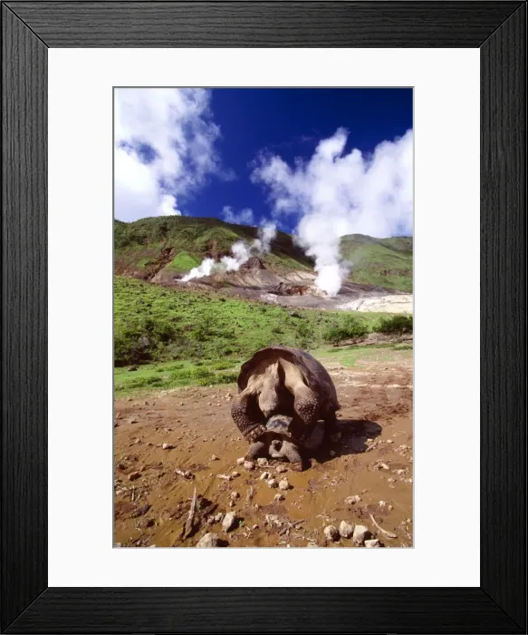 Framed Print : Picture No. 10848516 Framed Print : Picture No. 10848516