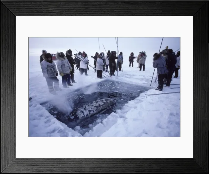 Framed Print : Picture No. 10850566