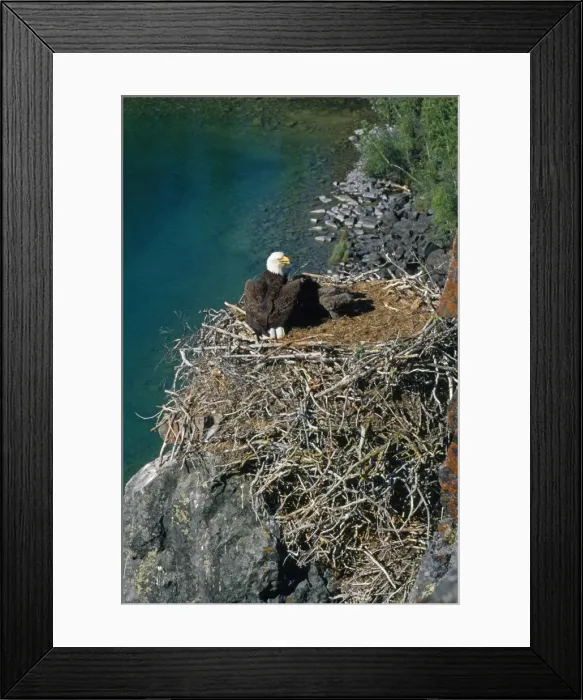Framed Print : Picture No. 10849172