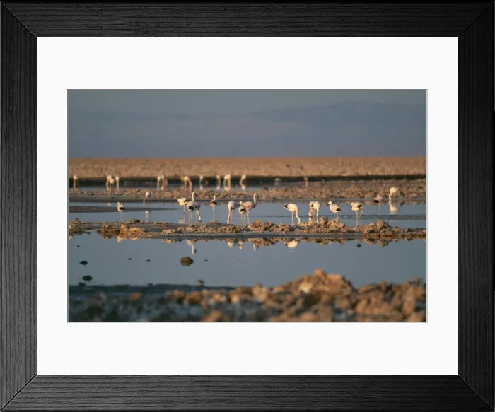 Framed Print : Picture No. 10851015 Framed Print : Picture No. 10851015