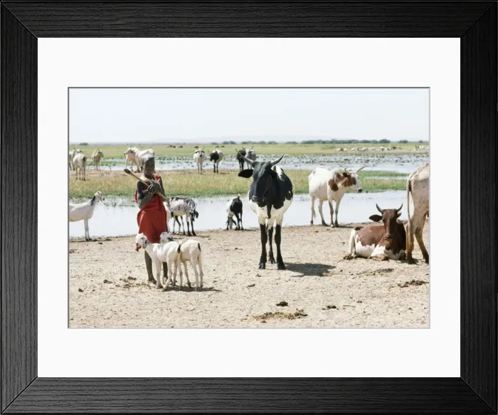Framed Print : Picture No. 10848786 Framed Print : Picture No. 10848786