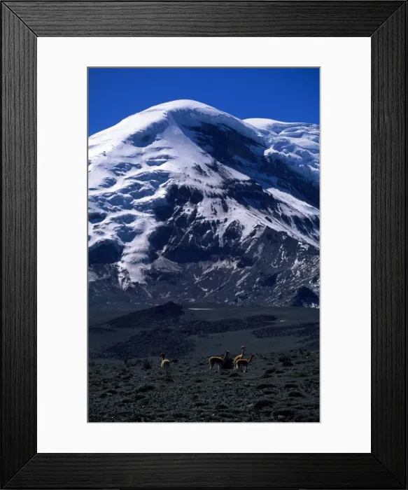 Framed Print : Picture No. 10850908 Framed Print : Picture No. 10850908