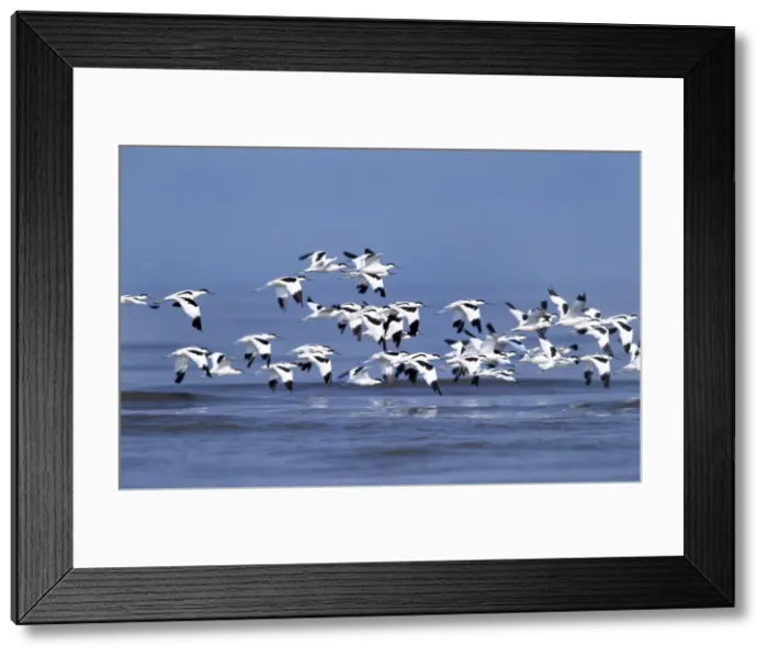 Framed Print : Picture No. 10849214 Framed Print : Picture No. 10849214