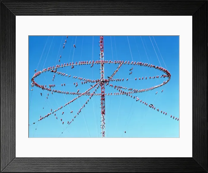 Framed Print : Picture No. 10851187 Framed Print : Picture No. 10851187