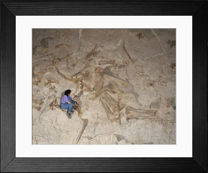 Framed Print : Picture No. 10850713 Framed Print : Picture No. 10850713