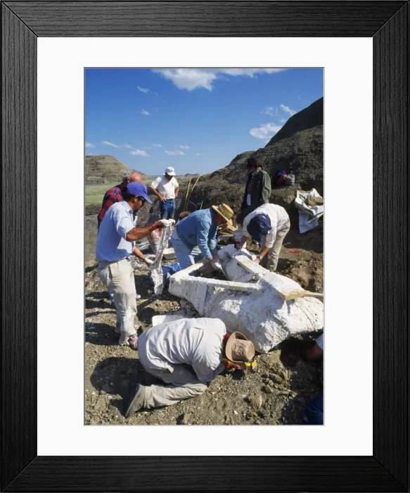 Framed Print : Picture No. 10850880
