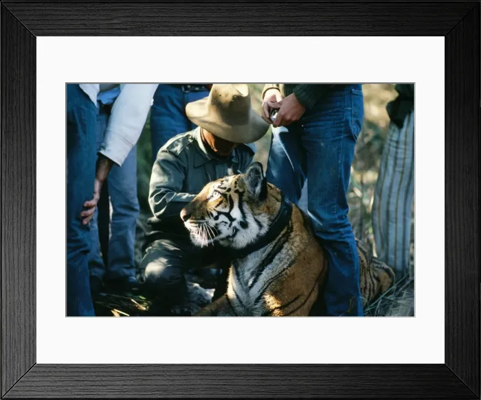 Framed Print : Picture No. 10849014 Framed Print : Picture No. 10849014