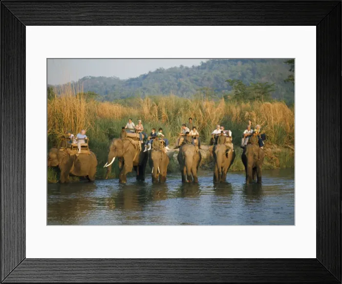 Framed Print : Picture No. 10849006 Framed Print : Picture No. 10849006