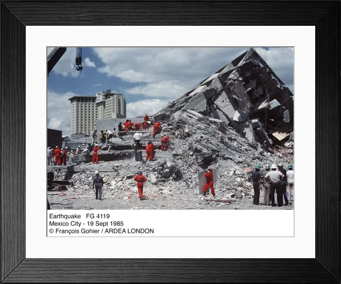 Framed Print : Picture No. 10850478 Framed Print : Picture No. 10850478