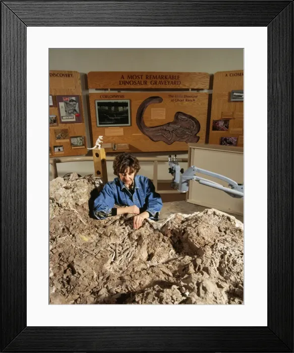 Framed Print : Picture No. 10850783 Framed Print : Picture No. 10850783