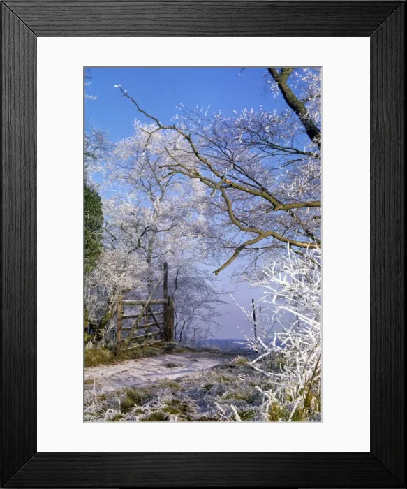 Framed Print : Picture No. 10849036 Framed Print : Picture No. 10849036