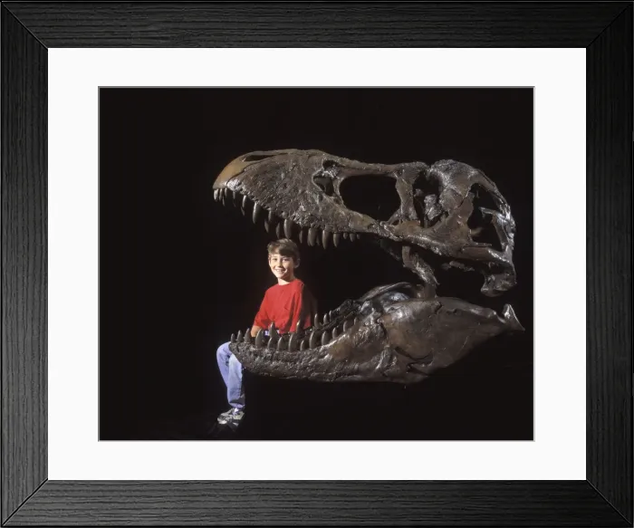 Framed Print : Picture No. 10850709 Framed Print : Picture No. 10850709